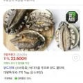 바다마을 푸르른 완도 활전복 대왕특대 6-7미 1kg (산소포장)