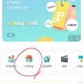 비비안 매쉬 여름 브라 1+1(13,900원/무배)