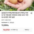 난각1번 무항생제 유정란 20구 (10,570원/무료)
