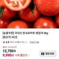 국내산 완숙토마토 랜덤과 5kg (9,990원/무료)