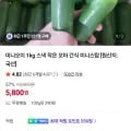 미니오이 2kg (9,600원/무료)