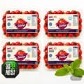 스테비아 대추방울토마토 2kg (9,930원/무료)