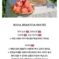 화순유기농복숭아 1.8kg(24,500원/무배)흑찰옥수수 10개(10,150원/무배)