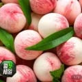 백도복숭아 4kg 중소과 (19,990원/무료)