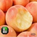 딱딱이 백도 복숭아 중대과 2kg (13,840원/무료)