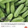 미니오이 1kg 특품 (5,600원/무료)