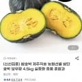 제주 농협선별 밤단호박 보우짱 4.5kg (8,970원/무배)