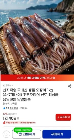 산지직송 국내산 생물 오징어 1kg (4~7미내외)
