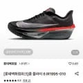 나이키 줌 플라이 6 IR1995-010 (115,900원/무료)