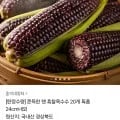 흑찰 옥수수 20개 특품 (20,790원 / 무배)