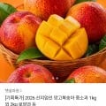 망고복숭아 중소과 1kg 8,790원