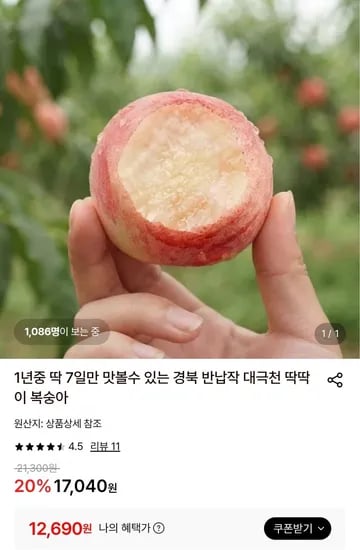 경북 반납작 대극천 딱딱이 복숭아 2kg (12,690원/무배)