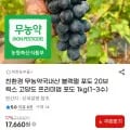 친환경 무농약 국내산 블랙펄 포도 20브릭스 고당도 1kg(1~3수) (17,660원/무료)