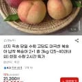 고당도 대극천 복숭아 납작 복숭아 3kg (18,020원/무료)