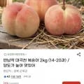반납작 대극천 복숭아 2kg (9,990원/무료)