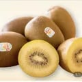 제스프리 골드키위 특대과 점보 1.2kg(14,500원/무료)