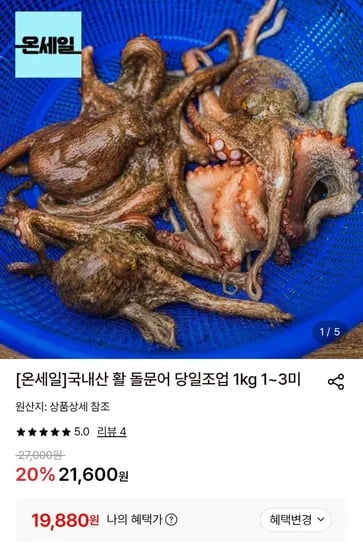 국내산 활 돌문어 1kg 1~3미 19,880원