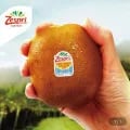 제스프리 골드키위 3.2kg 외(23,100원/무료)