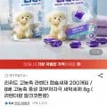 리퀴드 고농축 캡슐세제 라벤더향/밀크코튼향 8g 200개입 (9,600원/무료)