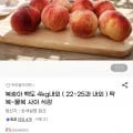 복숭아 백도 4kg내외 ( 22~25과 내외 ) (21,620원/무료)