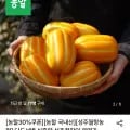 성주 꿀참외 상등급 로얄 0kg (13,910원/무배)