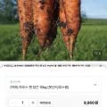 국내산 햇당근 쥬스용 10kg (6,90원/무료)7
