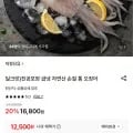 진공포장 급냉 자연산 손질 통 오징어 220g 4팩 (14,880원/무료)