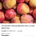 저탄소 GAP 노지 대석자두 대과 1kg (40g 이상) (9,900원/무료)