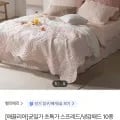 애끌리아 냉감패드/침대스프레드 (18,510원/무료)