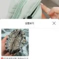 산지직송 완도 활전복 8-9미 1kg 11,550원