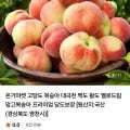 대극천 복숭아 중소과 2kg