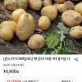 햇 감자 중 10kg 조림&알감자용 중량 (50g~80g) (11,030원/무료)