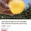 망고복숭아 1.5kg 대과 10-12과 내외 (9,800원/네멤무료)