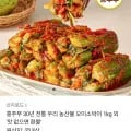 국내산 오이소박이 1kg (9,800원 / 무료배송)