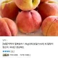 딱딱이 털복숭아 .5kg내외 (로얄/5-6과) (11,250원/무료)1