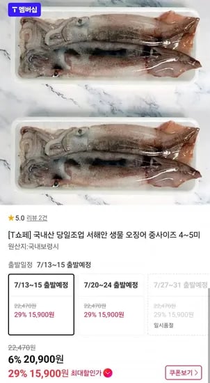국내산 생물 오징어 중사이즈 4~5미 (T멤버십15,900원/무배)