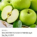 청정고랭지재배 국내산 아오리 사과 2kg (8,500원 / 무배)