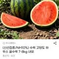 수박 고당도 하우스 꿀수박 7-8kg(농카 14,390원/무배)