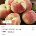 대극천복숭아 1kg 중소과 10과 내외 (9,500원/무료)