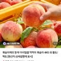 아삭달콤 딱딱이 복숭아 소과 4KG 외 황도/백도 (3,800원/무료)1