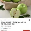 경북 사과 썸머킹 2kg (9,340원/무료배송)