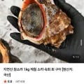 자연산 참소라 kg (5,420원/네멤무배)1