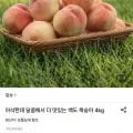 딱딱이 백도 복숭아 4kg 25-30과 (5,130원/무료)1