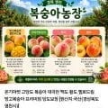 고당도 대극천 복숭아 중소과 kg (10,500원/무료)2