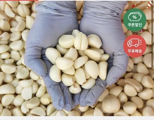 6년 국내산 햇 깐마늘 700g 대사이즈 (6,930원/무료)2