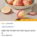 말랑이 백도 4kg 5-28과(9,730원/무배)2