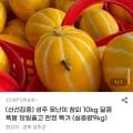 성주 못난이 참외 실중량 9kg (6,970원/무료)