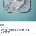 목포 산지직송 완벽 손질 제철 병어 (7,930원/무배)1