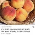 말랑이 황도 복숭아 중과 4kg (17,930원/무료)