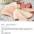 딱딱이 복숭아 .5kg 대과 (4~6과) (페이코 9,292원/무료)1